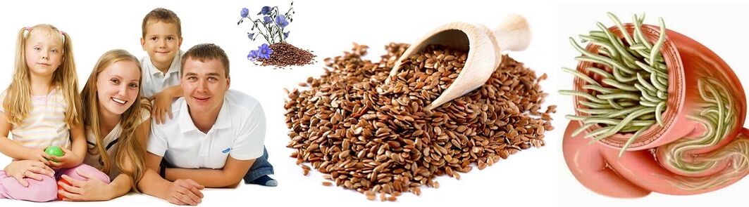 Folk remedies for family health parasites