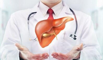 Types of parasites in the human liver