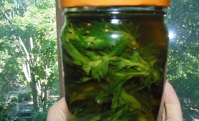 Plant dyeing to remove body parasites