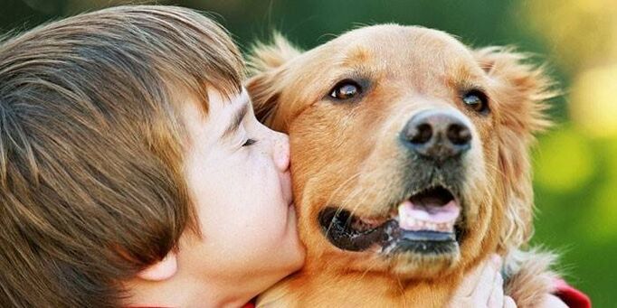 a boy kisses a dog and is infected with parasites